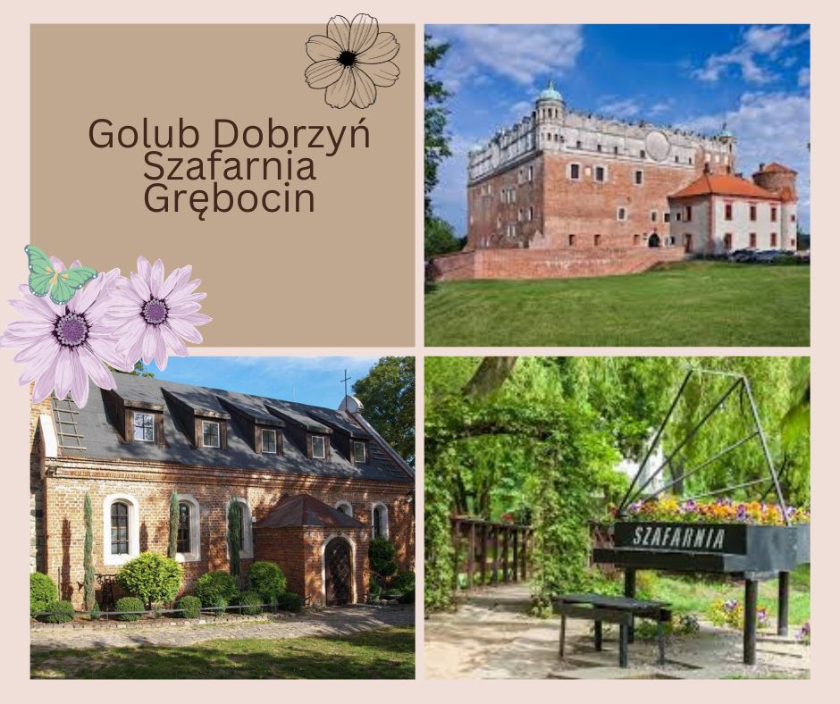 Golub Dobrzyń - Szafarnia - Grębocin